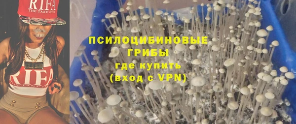 прущие крисы Бугульма