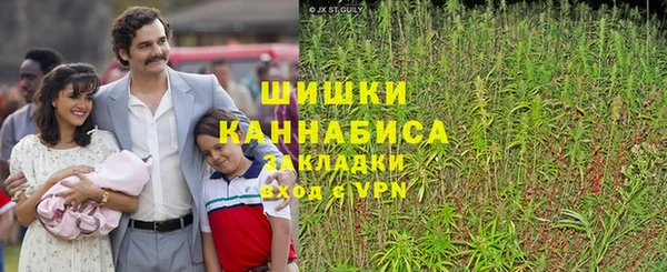 кокс Бородино