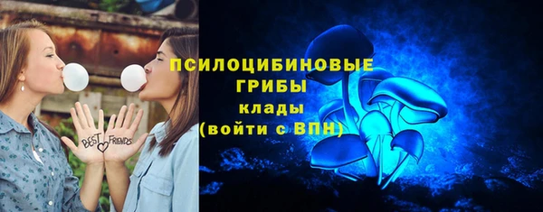 кокс Бородино